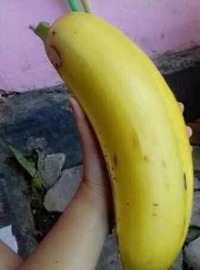 大香蕉国产情侣,甜蜜瞬间，浪漫演绎